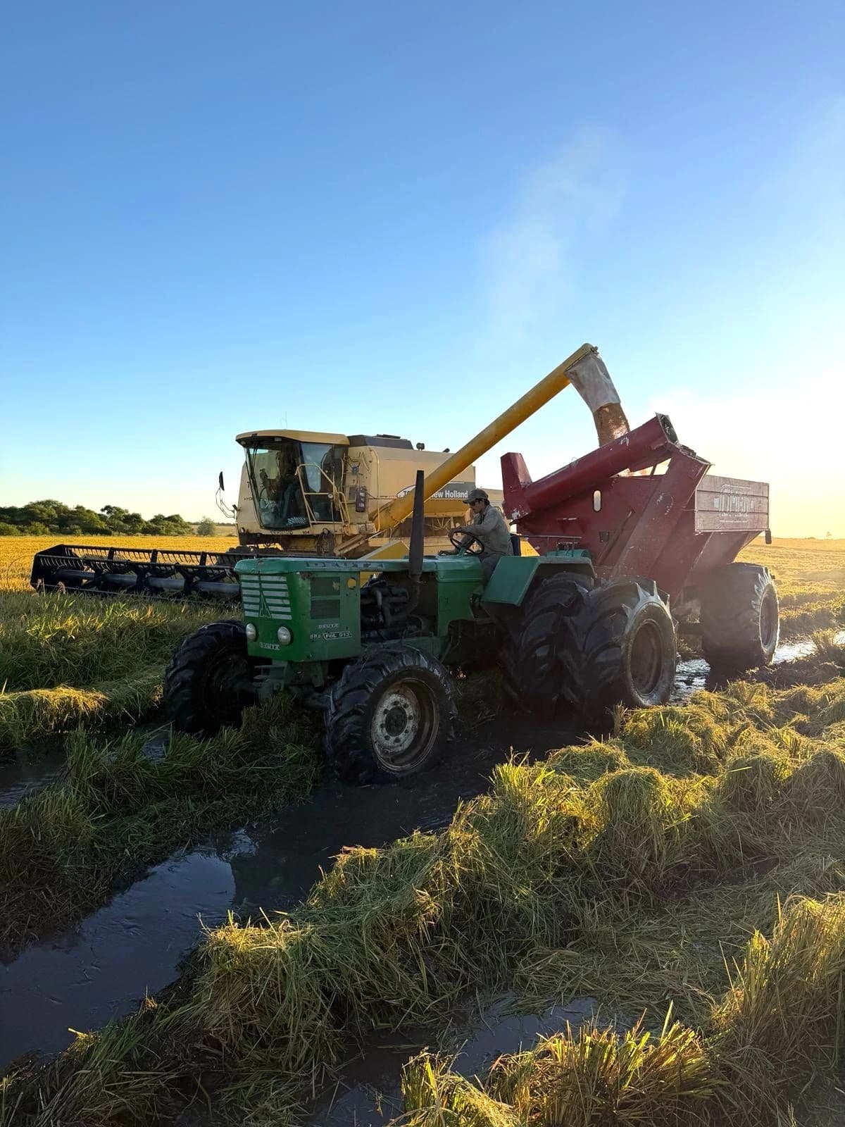 Maquinaria durante la cosecha de arroz en Santa Dominga